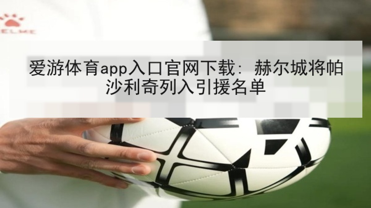 爱游体育app入口官网下载: 赫尔城将帕沙利奇列入引援名单