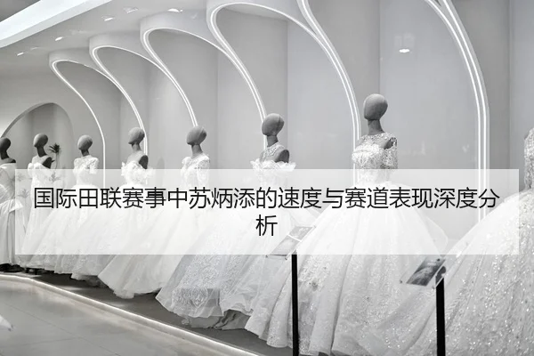 guo-ji-tian-lian-sai-shi-zhong-su-bing-tian-de-su-du-yu-sai-dao-biao-xian-shen-du-fen-xi-2-496.jpg