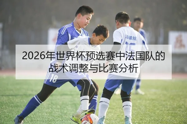 2026年世界杯预选赛中法国队的战术调整与比赛分析