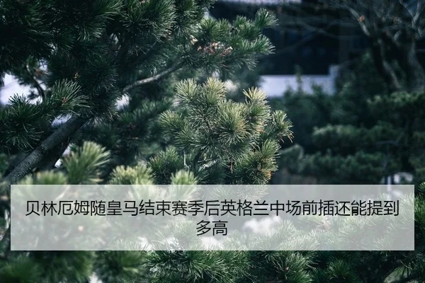 bei-lin-e-mu-sui-huang-ma-jie-shu-sai-ji-hou-ying-ge-lan-zhong-chang-qian-cha-hai-neng-ti-dao-duo-gao-2-504.jpg