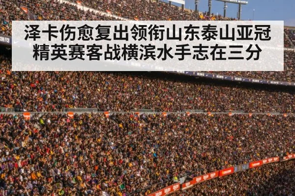 football stadium crowd